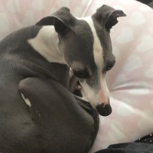 Meet your Posher, Karla